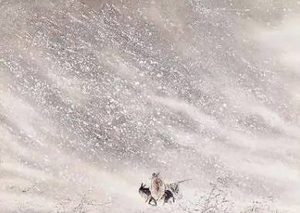 李煜所作的《长相思·云一涡》，描写一位女子的秋夜愁思