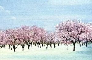 李煜所作的《子夜歌·寻春须是先春早》，描写李煜在宫廷的享乐生活