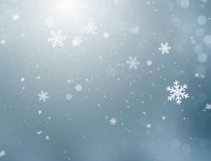 历朝历代有哪些描写雪花的诗作？诗人描绘了怎样的景象？