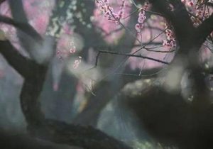 白居易所作的《梦微之》，表达了对旧友的深深思念