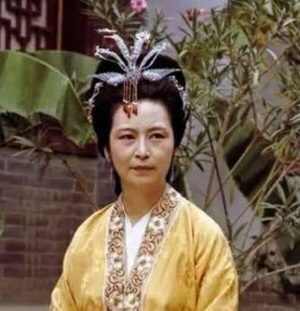 红楼梦中王夫人是如何赶走晴雯的？如何费尽心力？