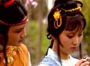 红楼梦中宝玉与宝钗最后能完婚的真相是什么？