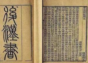 《后汉书·任延传》原文及译文，节选自循吏传