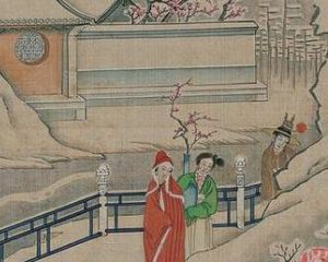 红楼梦中贾母为何说薛宝琴是野丫头？因为什么？