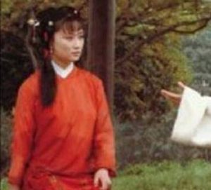 红楼梦中呆香菱情解石榴裙发生在何时？她为何这么做？