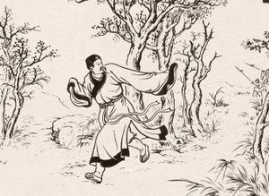 儒林外史第五十二回：比武艺公子伤身，毁厅堂英雄讨债