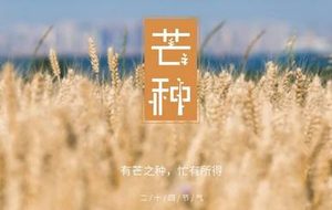 芒种之美，那些充满稻田香的诗词