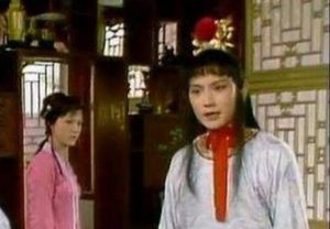红楼梦中袭人回家之后都做了哪些事情？有何表现