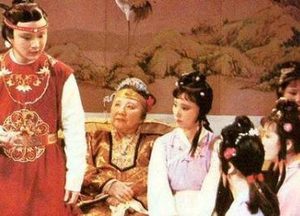 红楼梦中黛玉进入贾府之后的表现怎么样？从哪可以看出来？