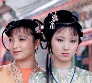 红楼梦中晴雯与黛玉在贾府的人缘如何?有何不同？