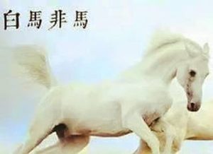 逻辑学家公孙龙提出的白马非马具体是什么问题？