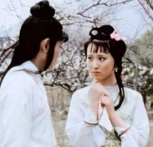 红楼梦中林黛玉和薛宝钗是什么容貌？是如何描写的