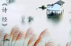 诗经·国风·谷风原文是什么？如何赏析呢？