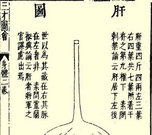本草纲目·第一卷·序列·脏腑虚实标本用药式具体内容是什么？