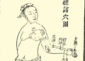 本草纲目·第二卷·序列·相须相使相畏相恶诸药原文是什么内容？