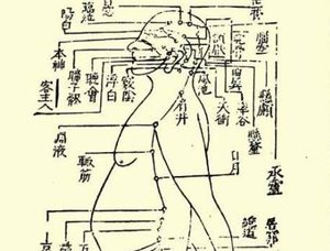 本草纲目·第二卷·序列·饮食禁忌原文是什么内容？