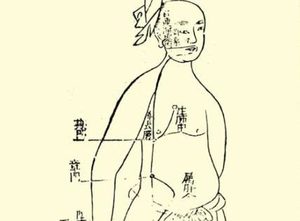 本草纲目·第二卷·序列·李东垣随证用药凡例具体内容是什么？