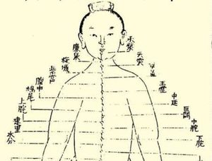 本草纲目·第二卷·序列·张子和吐、汗、下三法原文是什么内容？