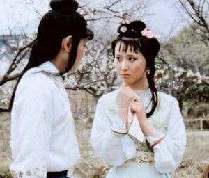 红楼梦袭人为何会被宝玉踹的吐血？真相是什么
