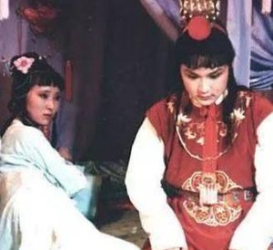 红楼梦薛姨妈举家进京真的是为了薛宝钗选举之事？