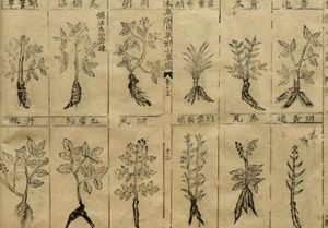 本草纲目·第三卷·百病主治·胀满具体内容是什么？