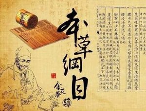 本草纲目·第三卷·百病主治·诸肿原文是什么内容？