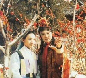 红楼梦中宝玉的红梅是怎么拿到的?为何说费了好大的劲