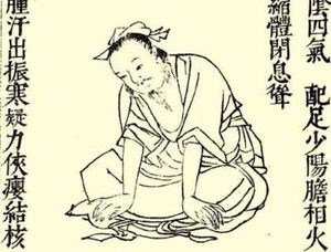 本草纲目·第三卷·百病主治·痛风原文是什么内容？
