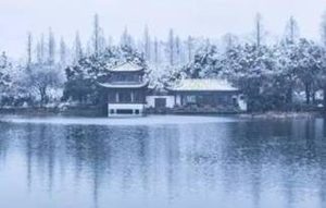 《临江仙·寒柳》描写了怎么样的心境？好梦易断，断梦难续