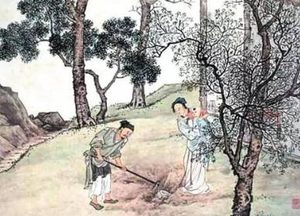 镜花缘第八十六回：念亲情孝女挥泪眼，谈本姓侍儿解人颐