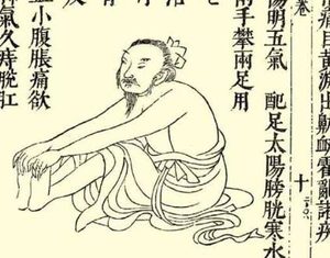 本草纲目·第三卷·百病主治·痈疽原文是什么内容？