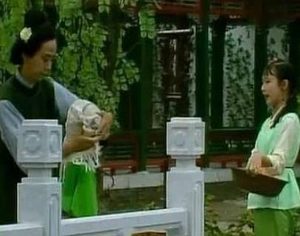 红楼梦中何婆子是什么人？她的存在有何意义？