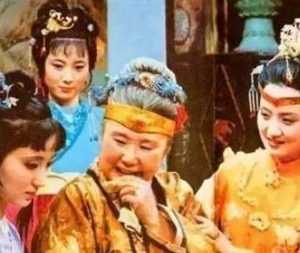 红楼梦黛玉对贾母是什么一种样的感情？为何算怨恨?