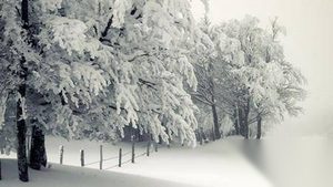 2016年最新描写冬天下雪的19句优美诗句