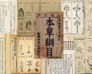 本草纲目·第五卷·火部·阳火、阴火具体内容是什么？