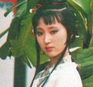 红楼梦中黛玉不让香菱学习陆游的诗，是因为什么?