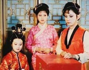 红楼梦中晴雯被撵出贾府时并没有向贾母等人求救，是为何？