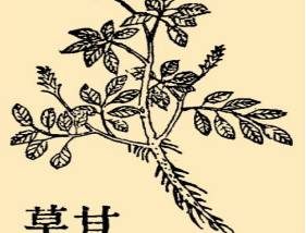 本草纲目·第八卷·草部·甘草具体内容是什么？