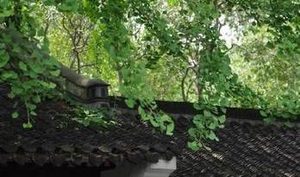 江淹的《从冠军建平王登香炉峰》运用了哪些艺术手法？