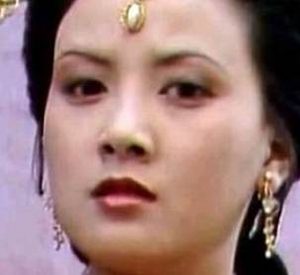 红楼梦中都出现过哪些舅舅？他们是何形象？