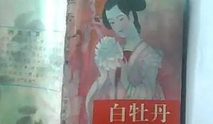 《白牡丹》第十二回：文俊催船委保驾　梦雄窿战敌强徒