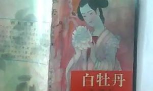 《白牡丹》第三十三回：居庸关奸监被拿　金鸾殿老阁问供