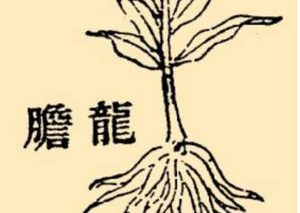 本草纲目·第八卷·草部·龙胆原文是什么内容？