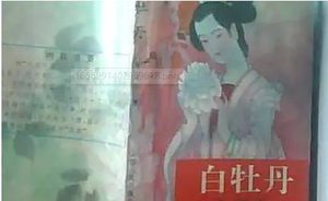 《白牡丹》第三十五回：忠良封职完婚娶　圣主设醮禳瘟疫