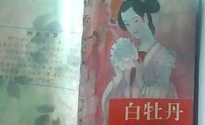 《白牡丹》第三十九回：六家店赌博呼子　王庄内召神除妖