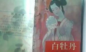 《白牡丹》第四十回：扬州店看诗忆梦　新庄银出世朝君