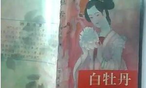《白牡丹》第四十二回：孪风姐恩封西宫　定国公怒打权监