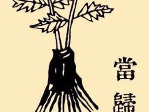 本草纲目·第八卷·草部·当归原文是什么内容？