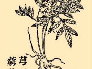 本草纲目·第八卷·草部·芎藭具体内容是什么？