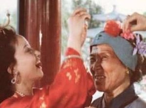红楼梦中时如何描写贾母两宴大观园的？